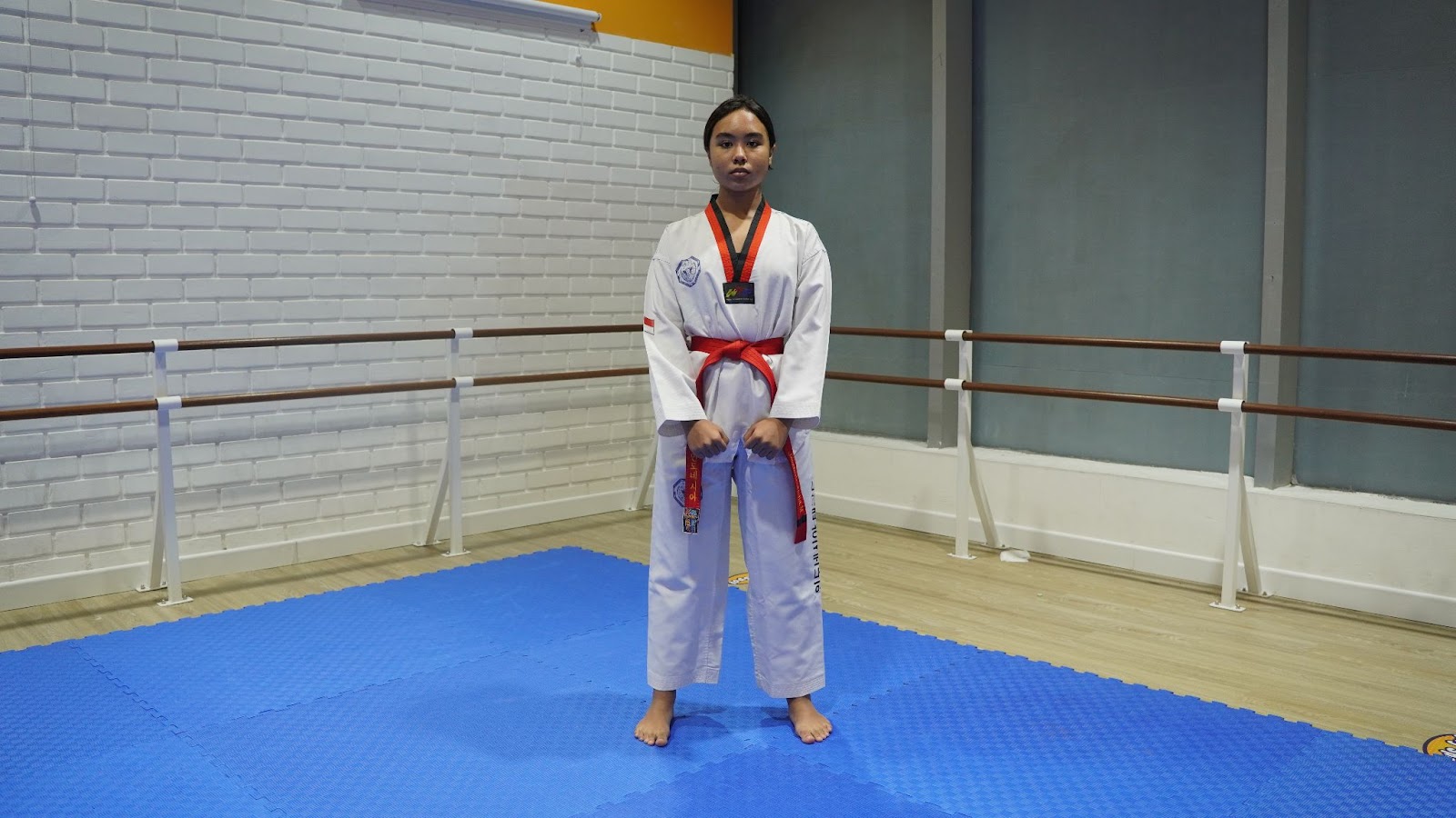 Types of Taekwondo Stances - Ready Stance (junbi seogi) 