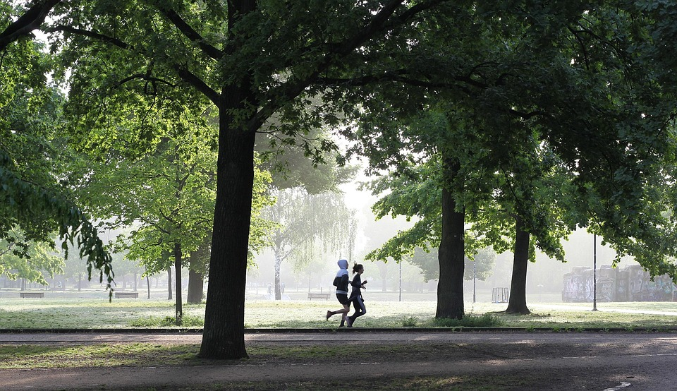 Exercise and Fitness Strategies for Post-Rehab Wellness