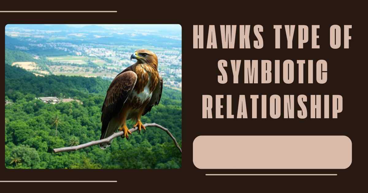 hawks type of symbiotic relationship