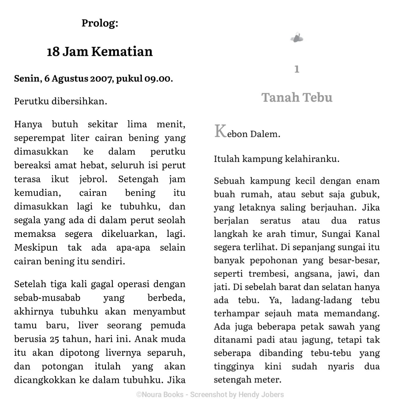 Menulis Prolog Novel