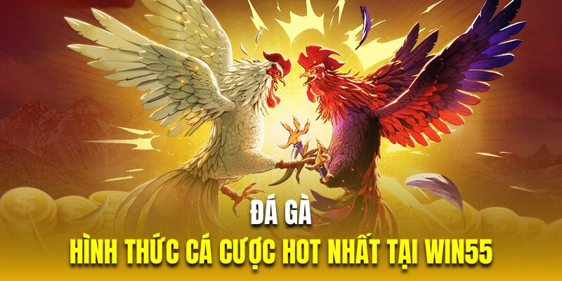 Đá gà là hình thức cá cược hot nhất tại WIN55