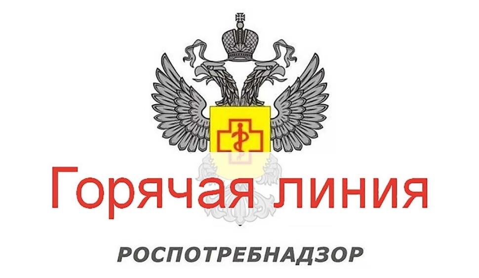 Начала работу Всероссийская горячая линия по вопросам детского отдыха и безопасности товаров