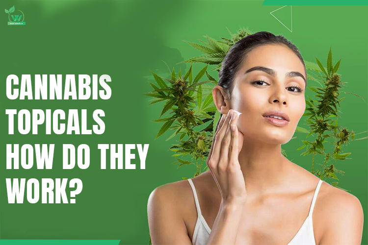 Cannabis Topicals: How Do They Work?