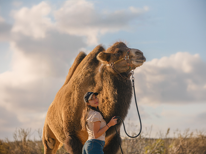 Woman standing next to camel