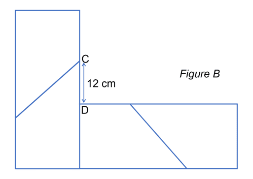 psle 2023 trapezium question figure B