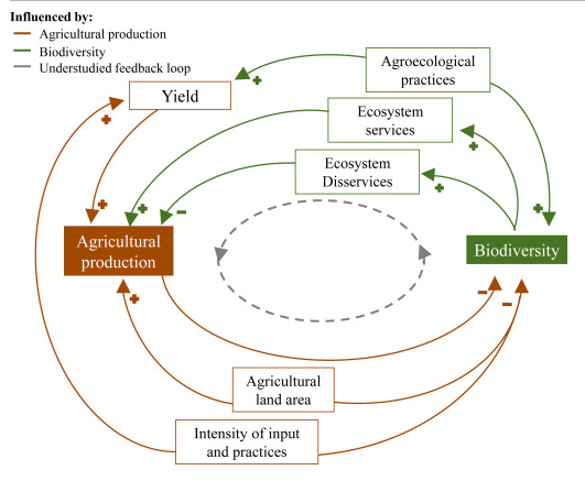 A diagram of a farm

Description automatically generated