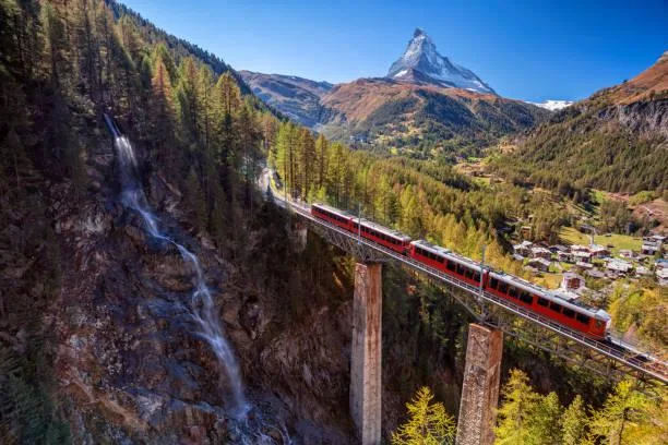 20 Forests With Soft Footpaths and Light, forest footpath, soft woods, nature, landscape, green walk, nature ease