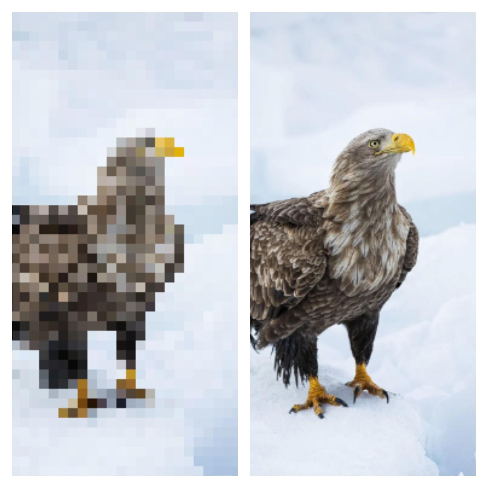 How to enhance a photo's pixels