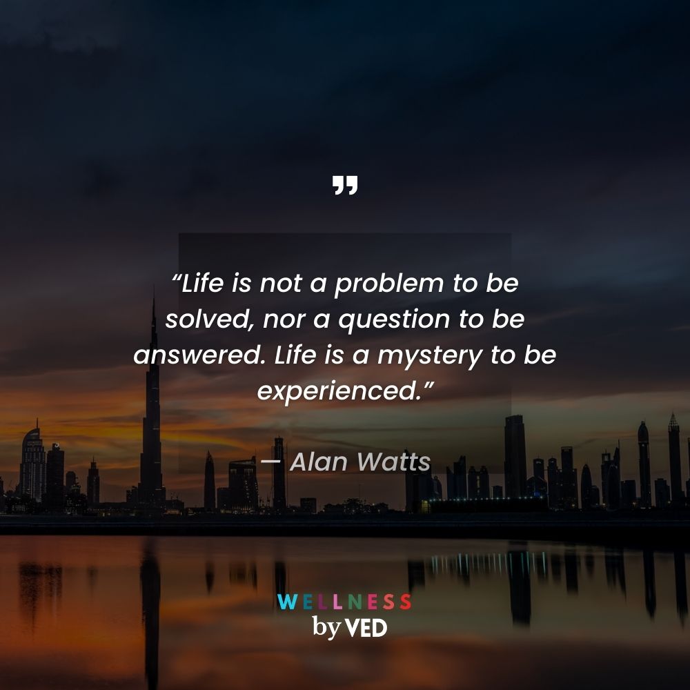 Alan Watts quotes 