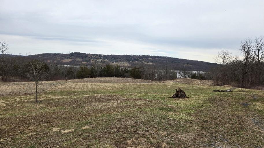 A field with trees in the background

AI-generated content may be incorrect.