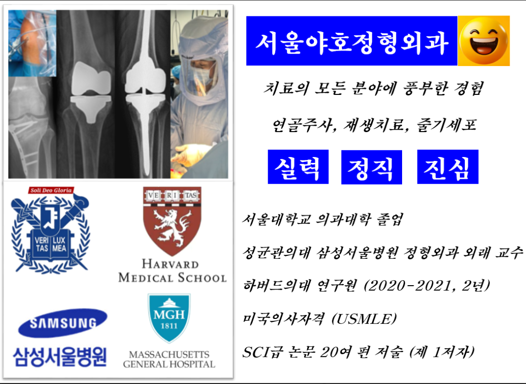 야호글로벌 이미지