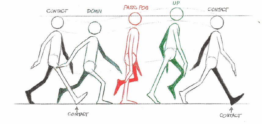 Pose-to-Pose vs. Straight Ahead Action 2