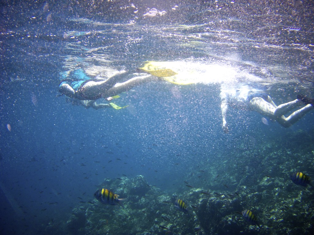 People enjoying snorkeling in the clear water and there are fishes in the water