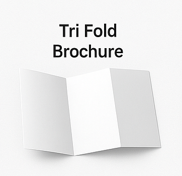 Illustration of Tri Fold Brochure