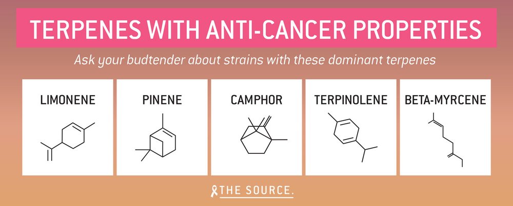 Dominant terpenes to look for in cannabis strains. These are to help fight cancer and cancer symptoms.