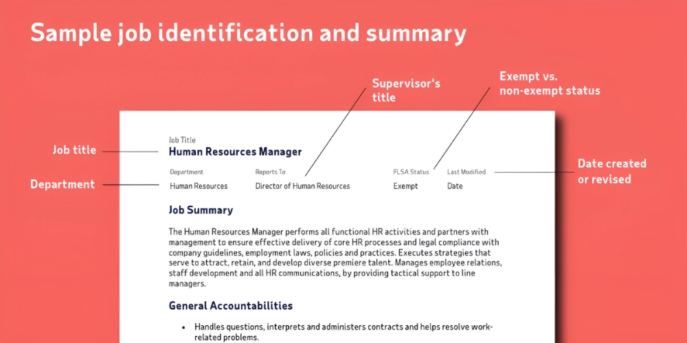 Job Description Examples & Templates