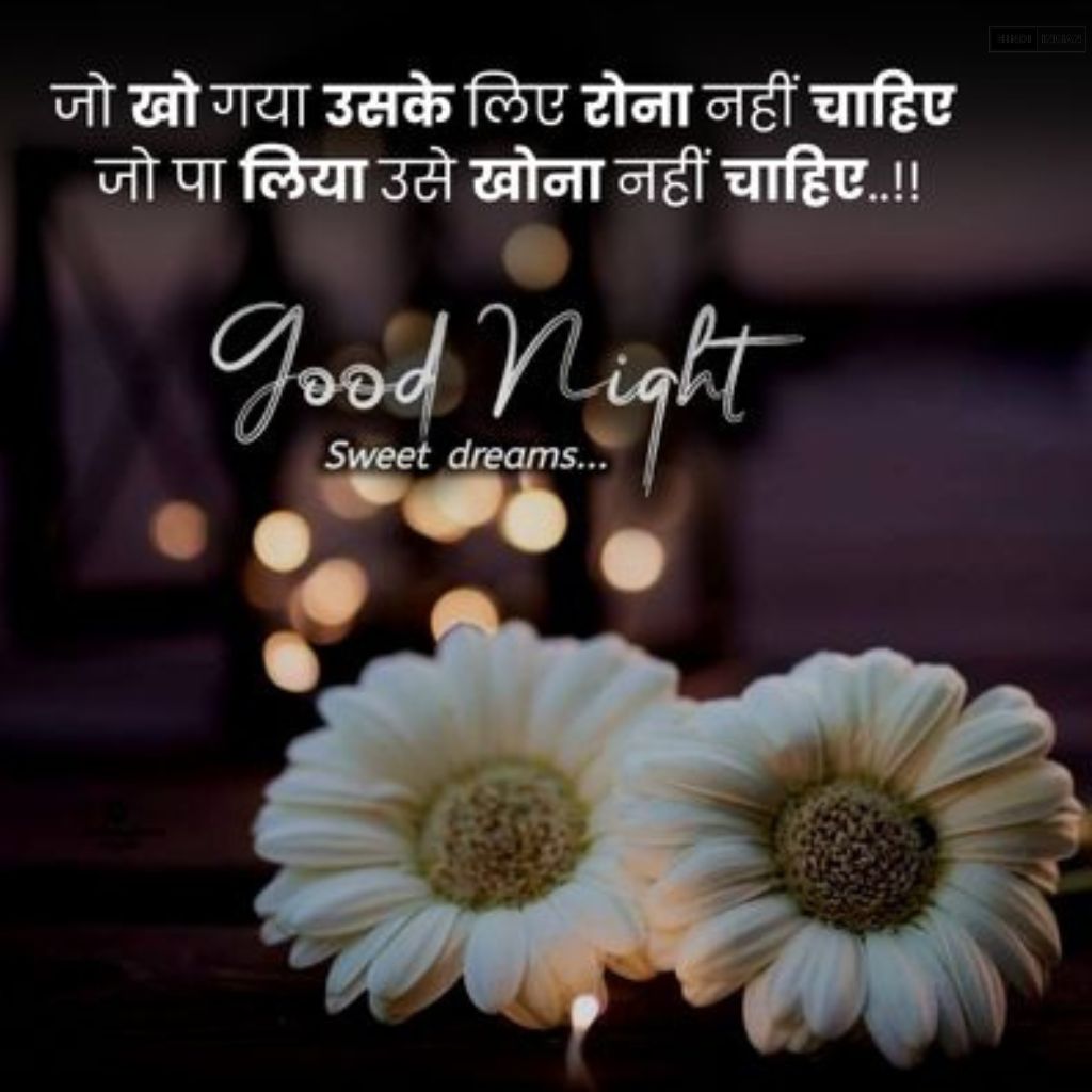 Good Night Quotes in Hindi [HD Photos] | शुभ रात्रि सुविचार