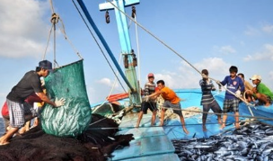 Ngư dân đánh bắt cá.olm