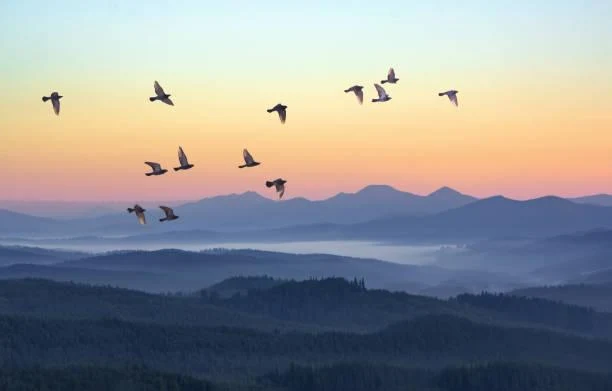 15 Mountains Seen Through Layers of Fog, fog mountain, layered mist, nature, landscape, haze peaks, hidden summit
