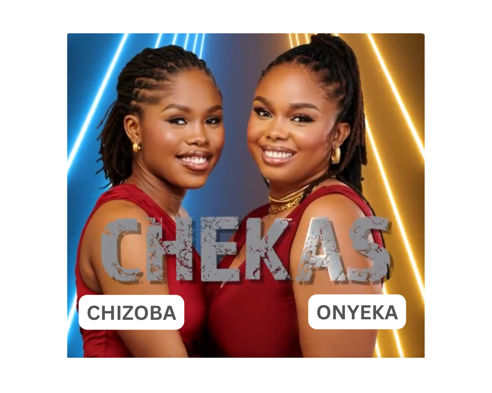 BBNaija Season 9 Chekas