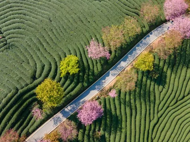 30 Breathtaking Landscapes from Around the World, global landscapes, worldwide nature, nature, landscape, international views, scenic earth