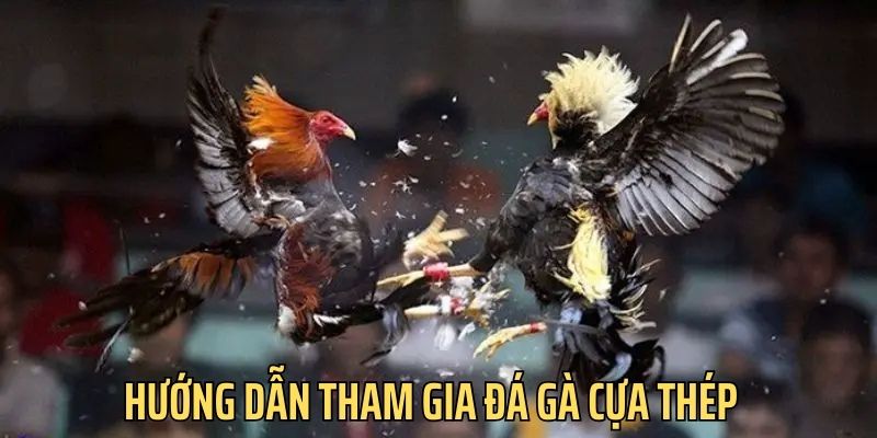 Cách tham gia sảnh đá gà cựa thép sv388 cực dễ dàng