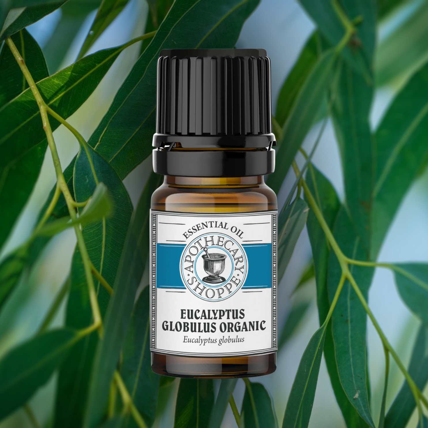 Eucalyptus Essential Oil