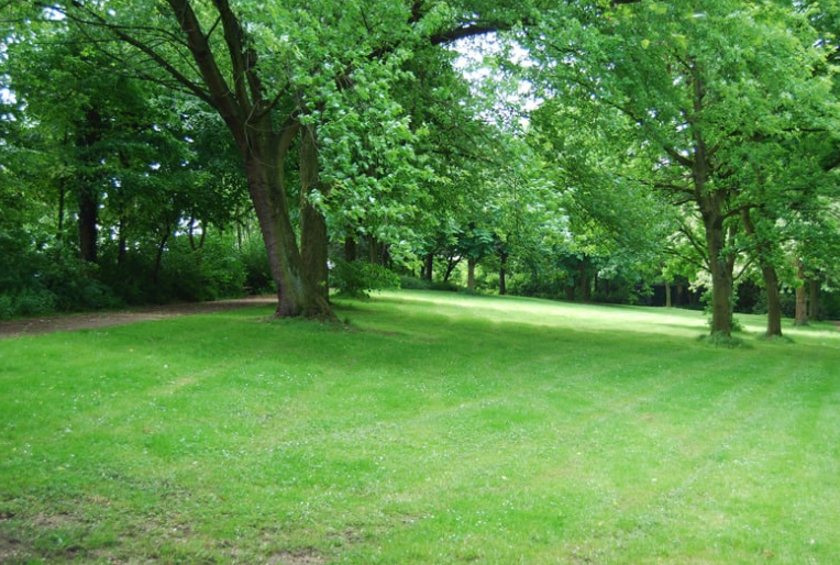 Parks in Glasgow in East End