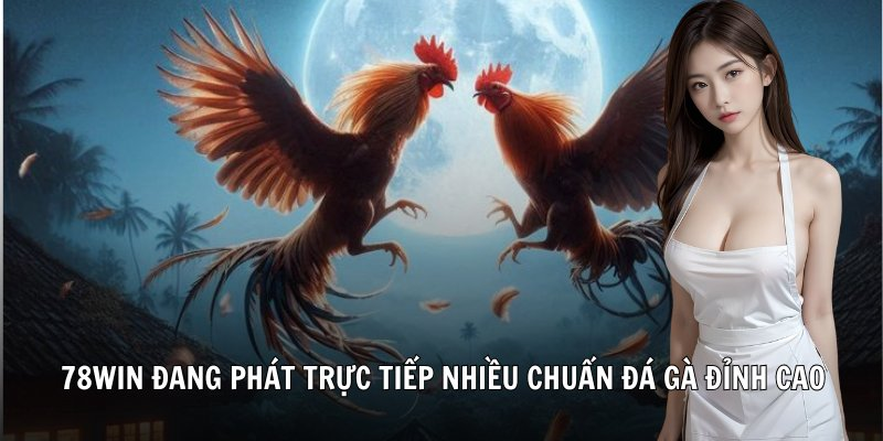 Đá gà 78win - Hình 1