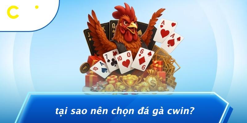 Tại Sao Nên Chọn Đá Gà Cwin?