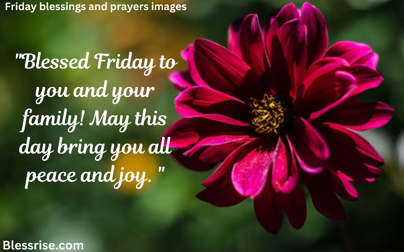 

Healing prayers on Friday
