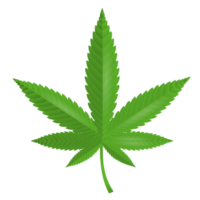 High Profile Marijuana Dispensary Near Me curate and sell premium Marijuana flower and products, serving up high vibes. Visit today

