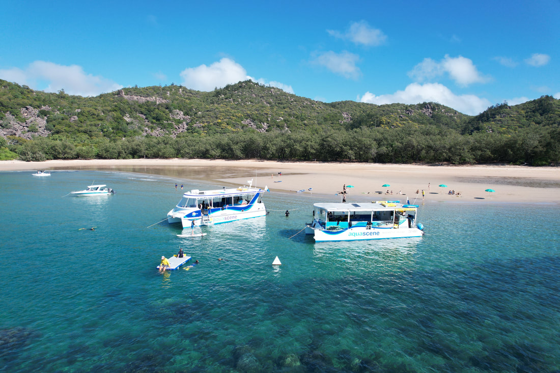 Snorkel Tour | Things to do in Magnetic Island