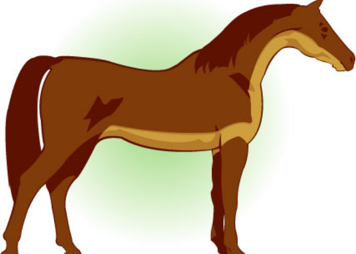 Types of Horse Clips