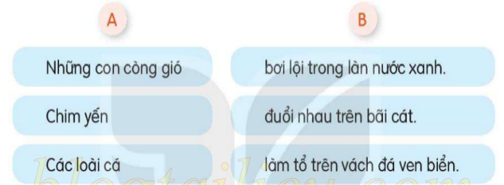 BÀI 28: KHÁM PHÁ ĐÁY BIỂN Ở TRƯỜNG SA (6 tiết)TIẾT 4: LUYỆN TỪ VÀ CÂU