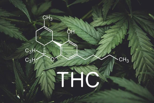 What is THC?