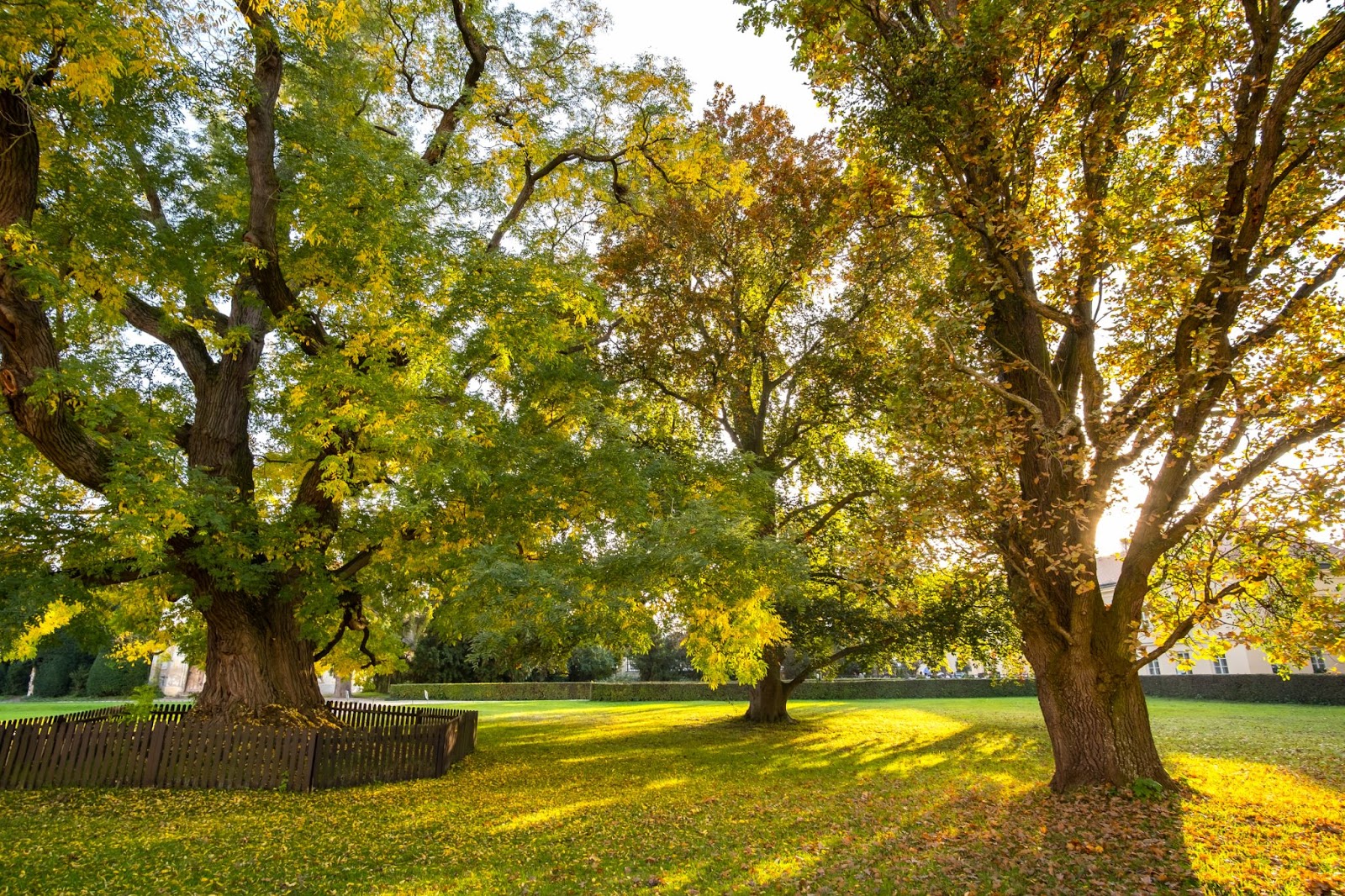 green park in london