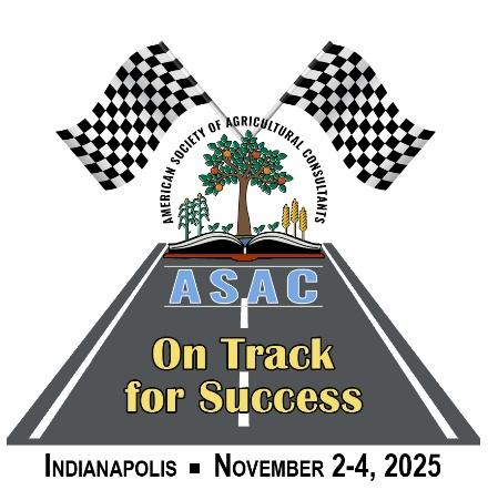 A road with flags and a tree

AI-generated content may be incorrect.