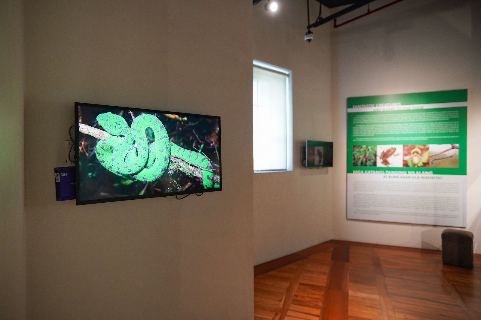 Celebrating 12 Years of OLED Excellence, LG Showcases “Fragments” by Isaiah Cacnio at the National Museum of Natural History
