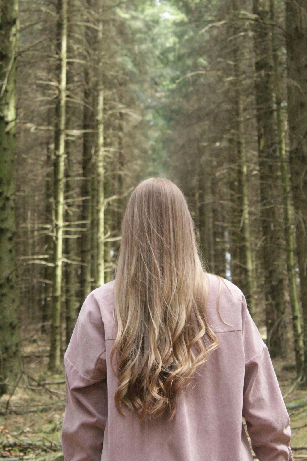 Back view of long honey-blonde hair with clip-in extensions in forest setting