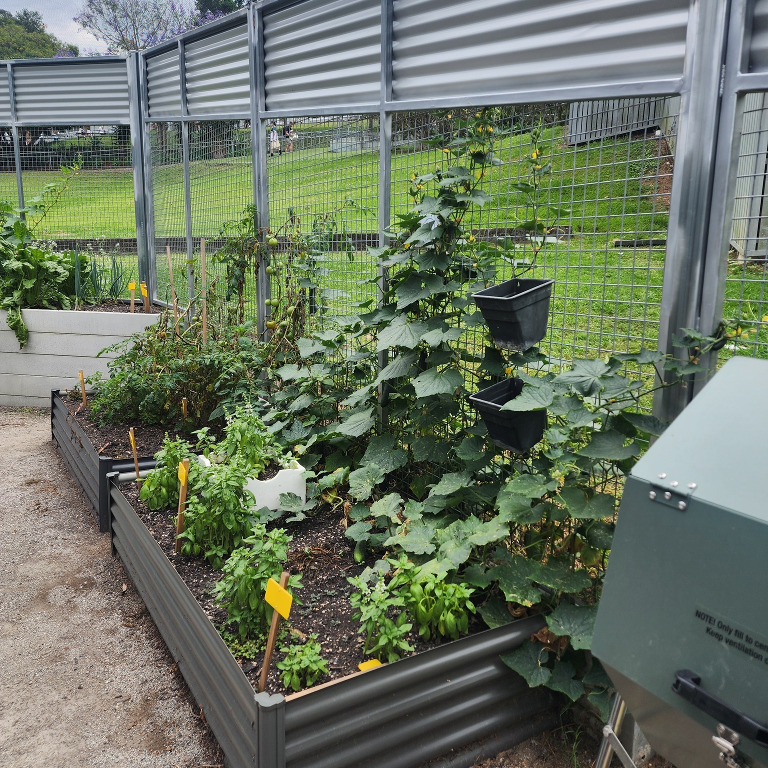 Community Garden