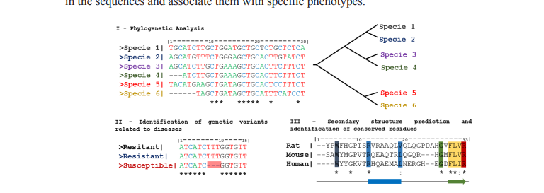 Phylogenetic Analysis
