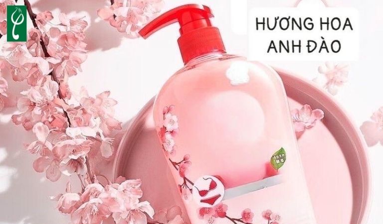 Gia công nước giặt quần chíp hương hoa anh đào giúp chủ đầu tư nhanh chóng tiếp cận thị trường