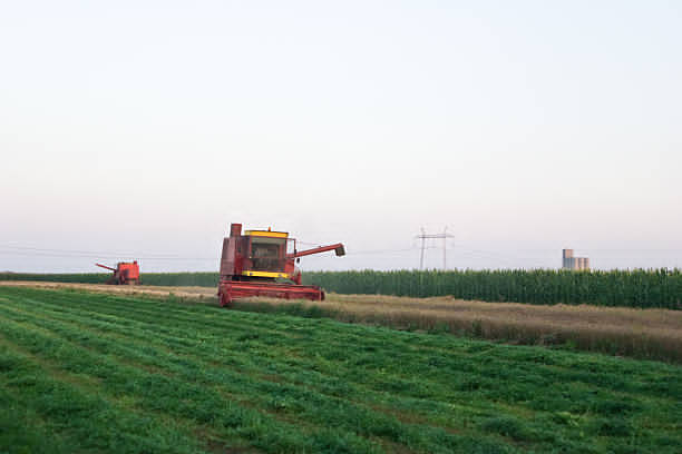 Dewulf Harvester Model D-7146