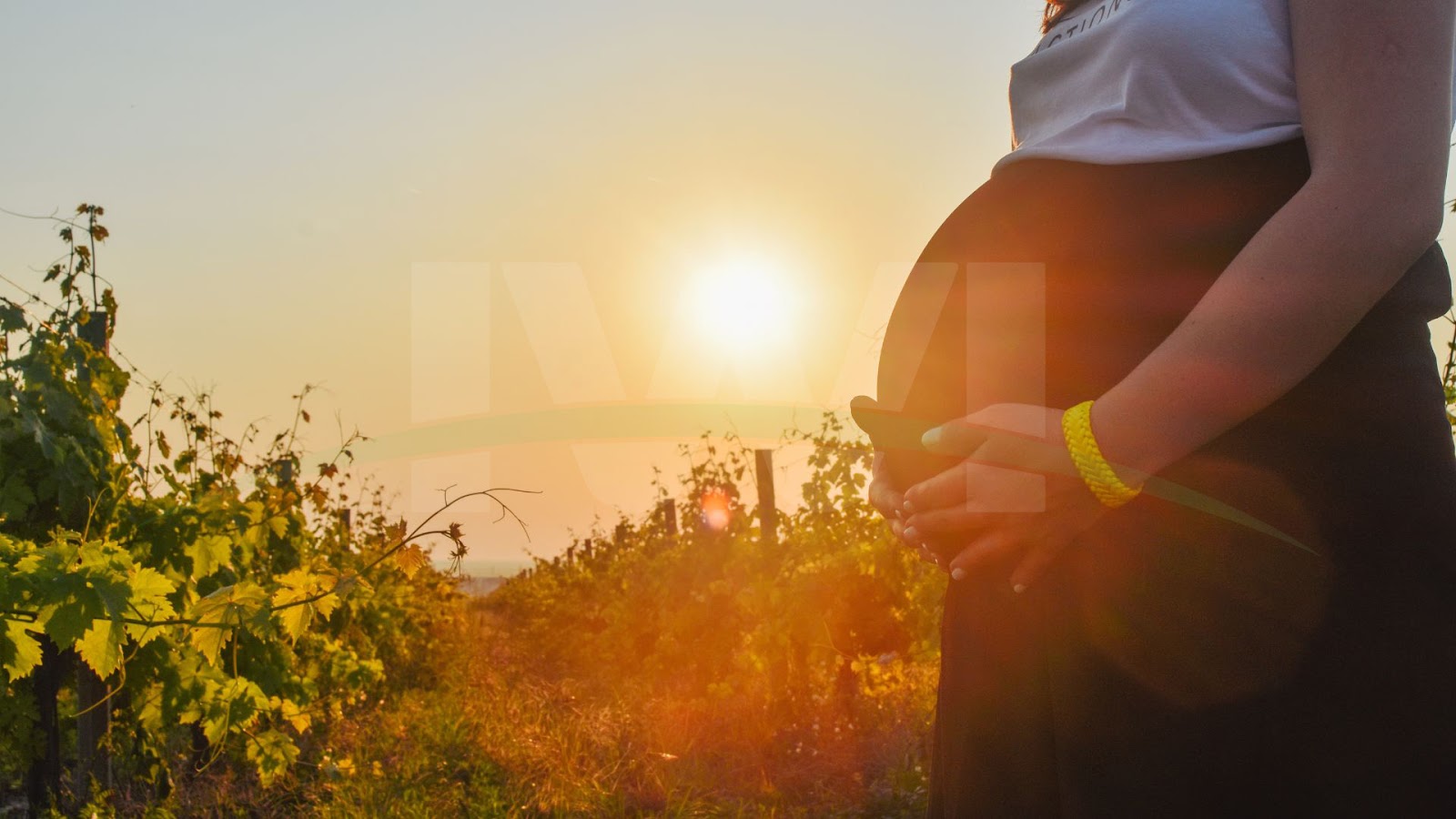 Winter Maternity Family Photos Images 5