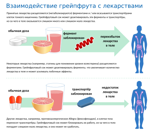 Почему при гепатите С запрещены цитрусовые?