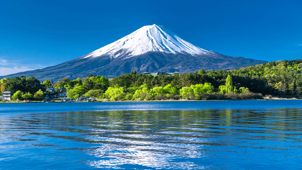 TOUR NHẬT BẢN: TOKYO – NÚI PHÚ SĨ – IBARAKI - My Blog