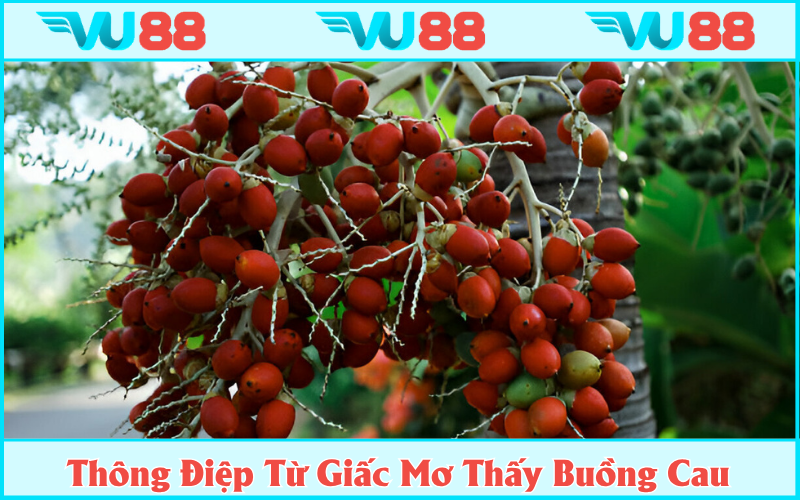 Thông điệp từ tiềm thức cho giấc mơ thấy buồng cau