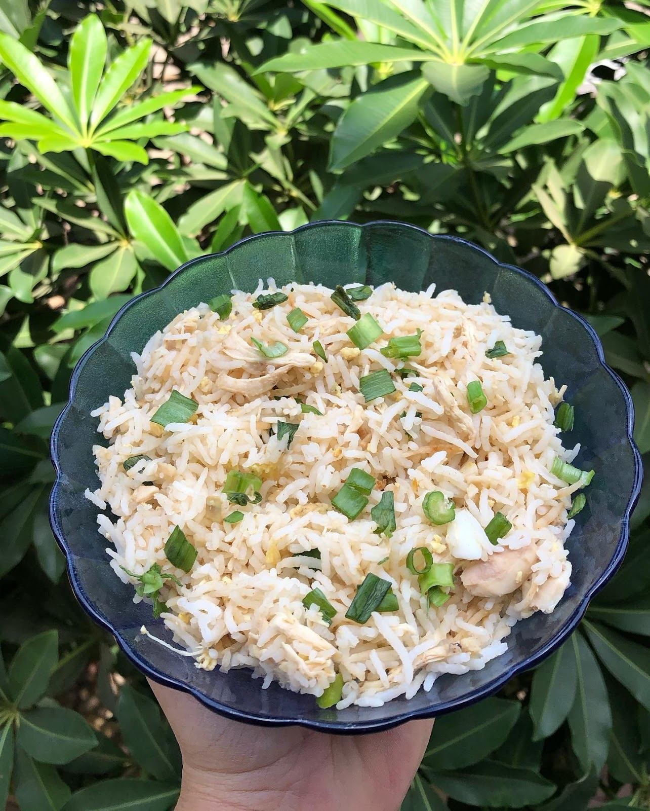 CHICKEN FRIED RICE recipe