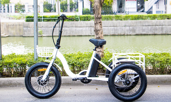 eunorau-trike-folding-cargo-ebike-lifestyle